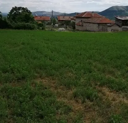 Photo 5 — Plot in Oblast Pazardjik, с. Црънча