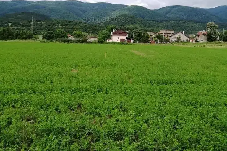Plot in Oblast Pazardjik, с. Црънча