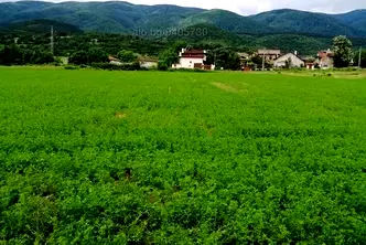 Парцел в Пазарджик, с. Црънча