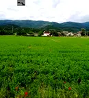 Парцел в Пазарджик, с. Црънча