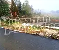 Снимка 5 — Парцел в Пазарджик, с. Црънча