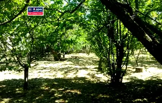 Парцел в Пазарджик, с. Добровница
