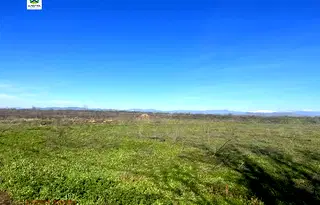 Парцел в Пазарджик, с. Добровница