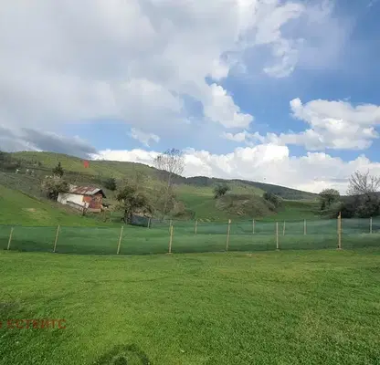 Снимка 4 — Парцел в Пазарджик, с. Дорково