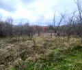 Снимка 3 — Парцел в Пазарджик, с. Елшица