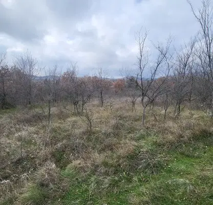Photo 3 — Plot in Pazardjik, Elshica