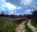 Снимка 4 — Парцел в Пазарджик, с. Елшица
