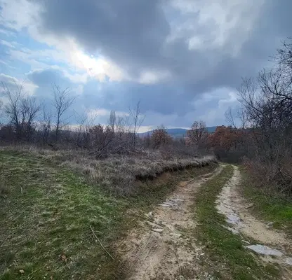 Photo 4 — Plot in Pazardjik, Elshica