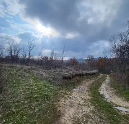 Photo 5 — Plot in Pazardjik, Elshica