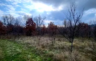 Парцел в Пазарджик, с. Елшица