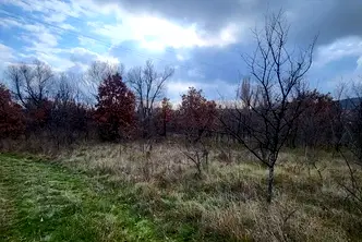 Парцел в Пазарджик, с. Елшица