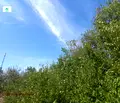 Снимка 2 — Парцел в Пазарджик, с. Гелеменово