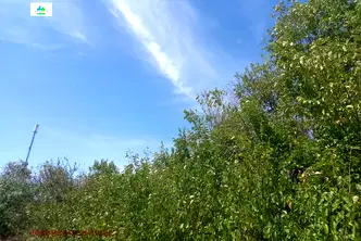 Парцел в Пазарджик, с. Гелеменово