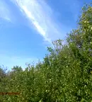 Парцел в Пазарджик, с. Гелеменово