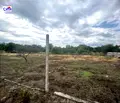 Снимка 3 — Парцел в Пазарджик, с. Гелеменово