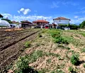 Снимка 4 — Парцел в Пазарджик, с. Ивайло