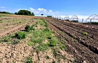 Парцел в Пазарджик, с. Ивайло