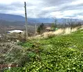 Снимка 4 — Парцел в Пазарджик, с. Жребичко