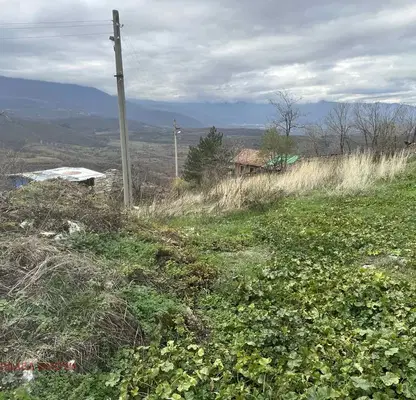 Photo 4 — Plot in Oblast Pazardjik, Jrebichko