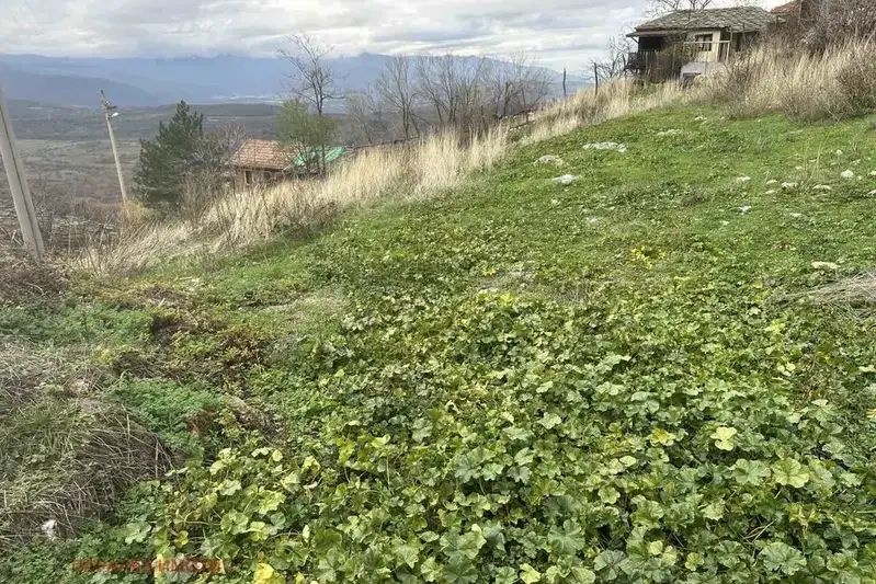Plot in Oblast Pazardjik, Jrebichko