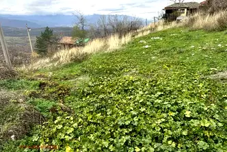 Парцел в Пазарджик, с. Жребичко