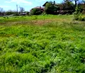 Снимка 3 — Парцел в Пазарджик, с. Калугерово