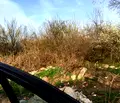 Снимка 2 — Парцел в Пазарджик, с. Карабунар