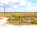 Снимка 3 — Парцел в Пазарджик, с. Карабунар