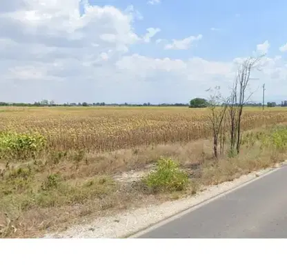 Снимка 4 — Парцел в Пазарджик, с. Карабунар