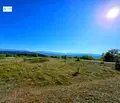 Снимка 3 — Парцел в Пазарджик, с. Лесичово