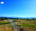 Снимка 4 — Парцел в Пазарджик, с. Лесичово