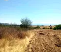 Снимка 3 — Парцел в Пазарджик, с. Левски
