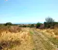 Снимка 5 — Парцел в Пазарджик, с. Левски