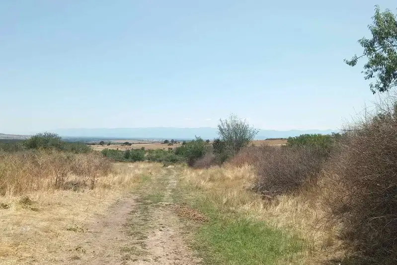 Plot in Oblast Pazardjik, Levski