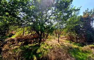 Парцел в Пазарджик, с. Лозен