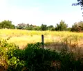 Снимка 4 — Парцел в Пазарджик, с. Мало Конаре