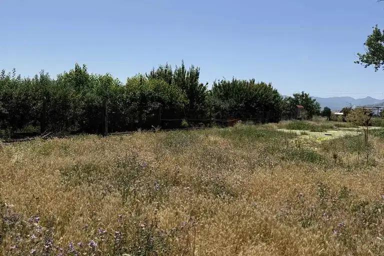 Plot in Oblast Pazardjik, Malo Konare