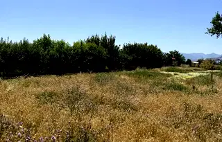 Парцел в Пазарджик, с. Мало Конаре