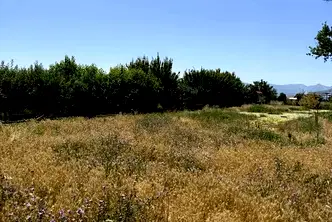 Парцел в Пазарджик, с. Мало Конаре
