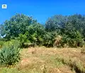 Снимка 2 — Парцел в Пазарджик, с. Мало Конаре