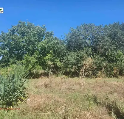 Photo 2 — Plot in Oblast Pazardjik, Malo Konare