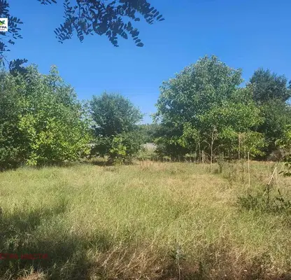 Photo 3 — Plot in Oblast Pazardjik, Malo Konare