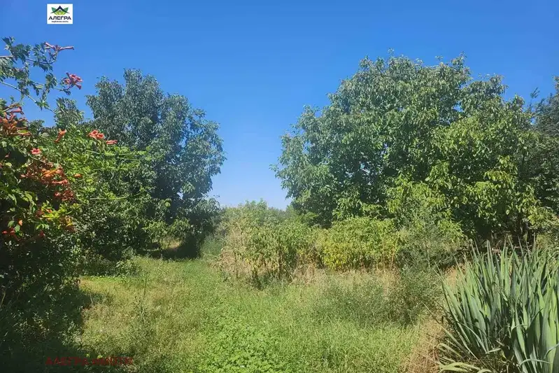 Plot in Oblast Pazardjik, Malo Konare