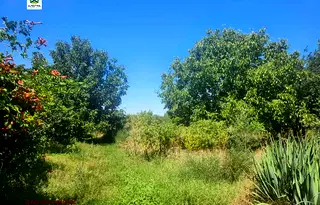 Парцел в Пазарджик, с. Мало Конаре