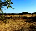 Снимка 4 — Парцел в Пазарджик, с. Мененкьово