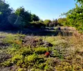 Снимка 2 — Парцел в Пазарджик, с. Огняново