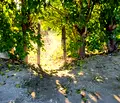 Снимка 4 — Парцел в Пазарджик, с. Огняново