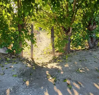 Photo 4 — Plot in Oblast Pazardjik, Ognyanovo