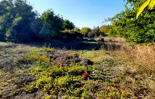Парцел в Пазарджик, с. Огняново