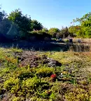 Парцел в Пазарджик, с. Огняново